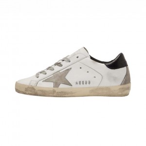 GOLDEN Goose1